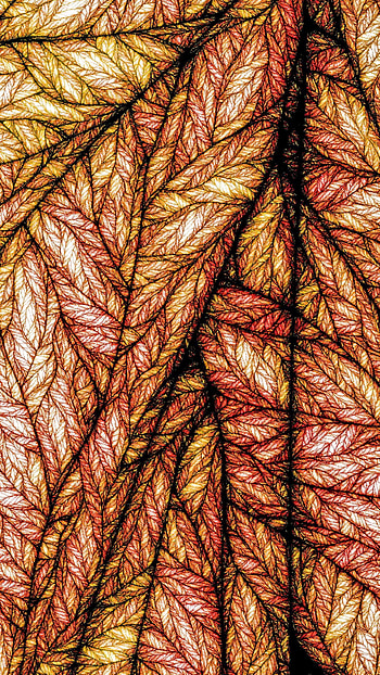 Abstract, Pattern, Fractal, Confused, Intricate, Mosaic HD phone wallpaper