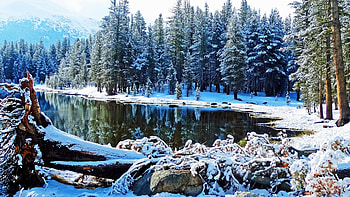 Tioga Lake, Yosemite National Park, California, snow, winter, landscape, trees, clouds, sky, usa HD wallpaper