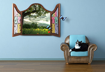 Butterflies, Summer, Fairy Tale, Miscellanea, Miscellaneous, Cat, Window, Watch, To Watch, Story HD wallpaper