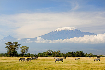 Mount Kilimanjaro, Climbing tips, Africa's highest, Trekking adventure HD wallpaper