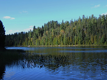 Deep Blue River, Reflections, graphy, Forest, Trees, Nature, Deep Blue, River, Sky HD wallpaper