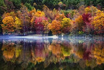 The Clouds of Autumn, autumn, colours, water, reflections, forest HD wallpaper