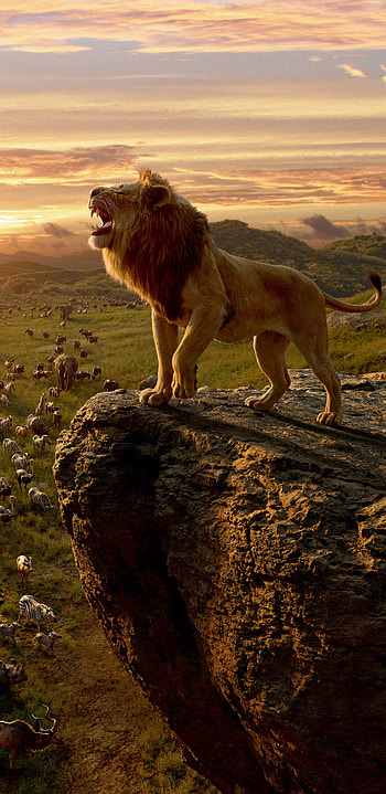 The Lion King, Movie , Samsung Galaxy , Background HD phone wallpaper