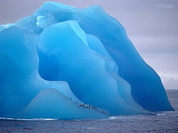 Penguins On Iceberg, Icebergs, Antarctica, Penguins HD wallpaper