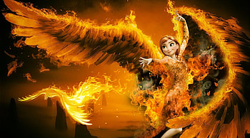 Warmth .., Abstract, Phoenix, Frozen, Anna HD wallpaper