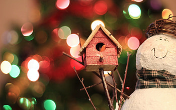 Holidays, Toys, Holiday, Fir, Christmas Tree HD wallpaper
