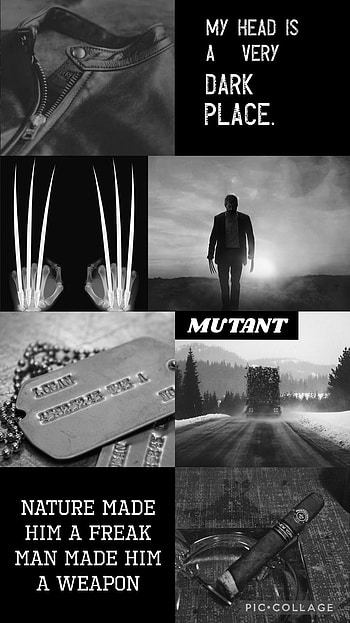 Wolverine Aesthetic, graph, logan HD phone wallpaper