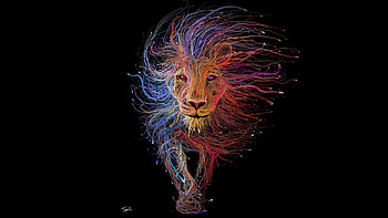 Lion Wires Art, lion, artist, digital-art HD wallpaper