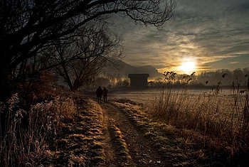 FIRST LIGHT, dawn, morning, light, couple, trees, sun HD wallpaper