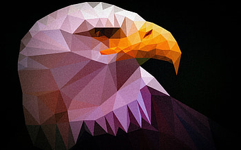 Eagle low poly art , Artistic bird design, Majestic predatory bird , Striking bird representation HD wallpaper