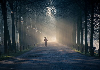 A person jogging along a foggy tree-lined pathway in a park during sunrise. HD wallpaper