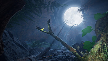 Empire of the Ants Moonlit Forest, video game, Empire of the Ants HD wallpaper
