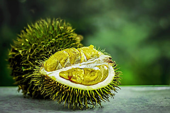 Durian taste experience, Origin information, Nutritional content, Unique flavor HD wallpaper