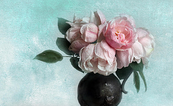 Flowers, Leaves, Drops, Rose Flower, Rose, Vase HD wallpaper