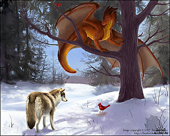 Rare creatures, winter, animal, abstract, snow, nature, wolf HD wallpaper