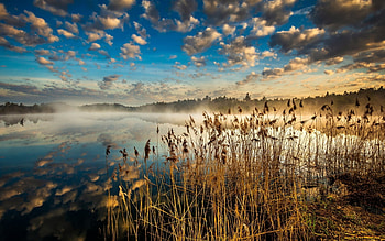 Misty Lake, mist, clouds, reeds, lake HD wallpaper