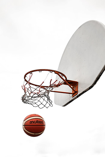 Sports, Basketball, Ball, Basketball Backboard, Basketball Shield, Basketball Hoop, Basketball Ring, Basketball Grid, Basketball Net HD phone wallpaper