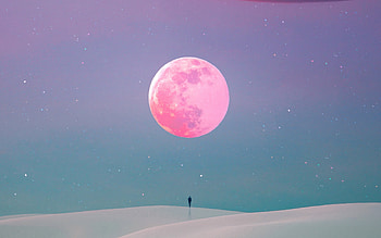 Pink moon, night, blue, full moon, fantasy, moon, luna, sky, silhouette, vector HD wallpaper