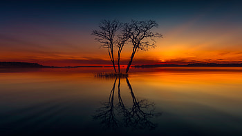 Sunset Lake, Lake, Sunset, Horizon, Trees HD wallpaper