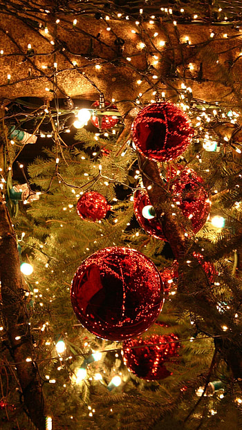 Captivating Christmas lights, Festive display, Vibrant colors, Holiday cheer HD phone wallpaper
