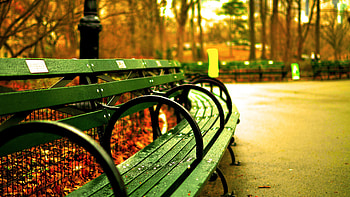 Garden, close up, bench HD wallpaper
