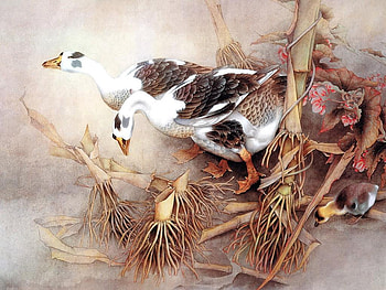 Pretty artwork (for Lena), , , goose, artwork, ducks, pretty, animals, nature, flowers, wall HD wallpaper