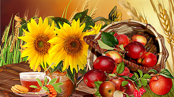 Apple Harvest, tea, fall, Firefox Persona theme, apples, sunflowers, mountain ash berries, wheat, autumn, harvest, cookies HD wallpaper