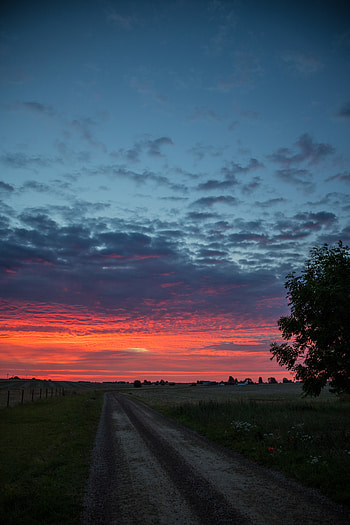 Nature, Grass, Sky, Clouds, Dawn, Horizon, Road, Sunrise, Rise, Morning HD phone wallpaper