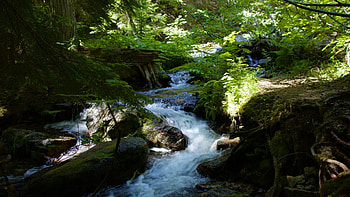 Granite Creek Valley, Washington, trees, forest, rocks, water, usa HD wallpaper