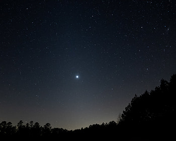 Nature, Trees, Night, Starry Sky, Star HD wallpaper