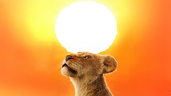 Sarabi In Mufasa The Lion King 2024, sarabi, mufasa-the-lion-king, movies, 2024-movies, animated-movies, disney, the-lion-king HD wallpaper