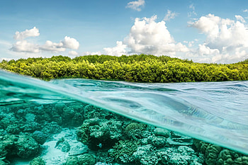 Great Barrier Reef, Vlinder future matters HD wallpaper