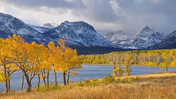 autumn aspens on lake mcdonald, autumn, mountains, forest, lake HD wallpaper