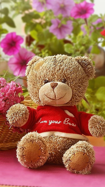 Cute Teddy, Pink Flowers, Background HD phone wallpaper