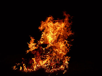 fire, night, nature, light HD wallpaper