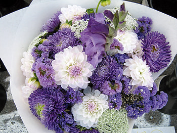 Flowers, Chrysanthemum, Typography, Registration, Bouquet, Dahlias HD wallpaper