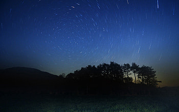 Trees, Grass, Stars, Night, Dark, Handsomely, It's Beautiful HD wallpaper