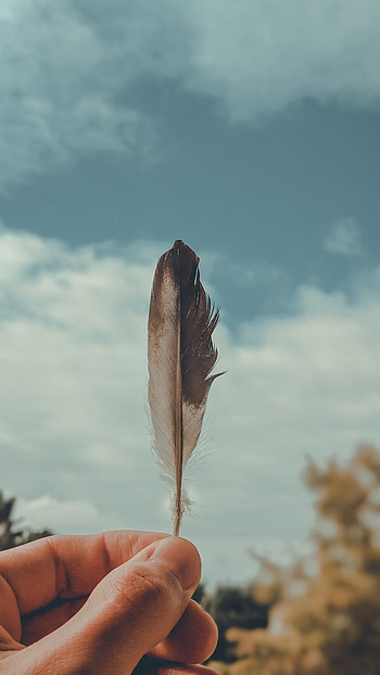 Feather, Macro, Hand, Miscellanea, Miscellaneous, Focus, Pen HD phone wallpaper
