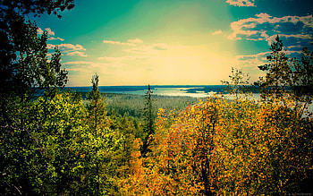 Finland travels, Tom of Finland, Artistic , Iconic ry HD wallpaper
