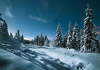 Winter Night, sky, SNow, Winter, Night HD wallpaper