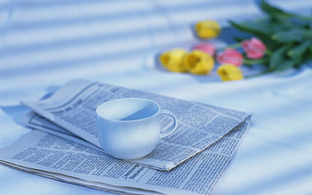MORNING COFFEE, sunlight, news, paper, tulips, drinks, cups, shadows, refreshments, newspaper, flowers HD wallpaper
