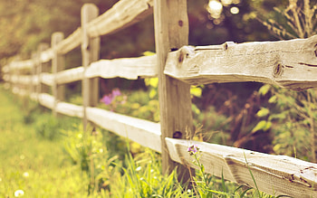 Nature, Grass, Fence, Planks, Board, Hedge HD wallpaper
