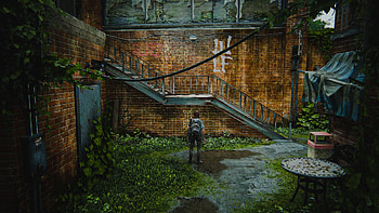 Ellie from The Last of Us -, video game, The Last Of Us, Ellie (The Last of Us) HD wallpaper