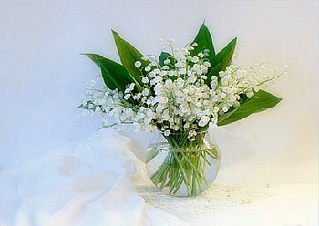 lily of the valley, still life, abstract, graphy, lily HD wallpaper