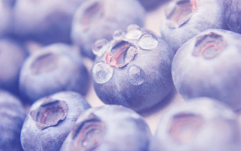 Food, Berries, Macro HD wallpaper