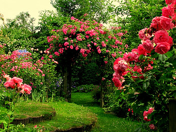 Landscape, Nature HD wallpaper