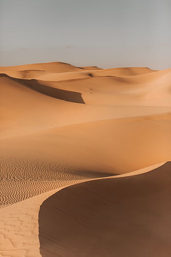 Explore the serene beauty of Abu Dhabi's golden sand dunes under a clear sky. HD phone wallpaper
