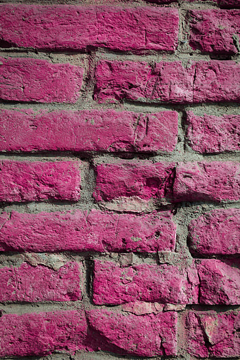 Pink, Texture, Textures, Wall, Brick HD phone wallpaper