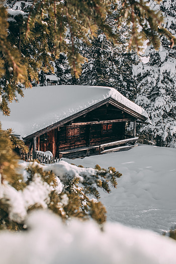 Winter, Nature, Trees, Snow, Branches, Small House, Lodge, Coziness, Comfort HD phone wallpaper