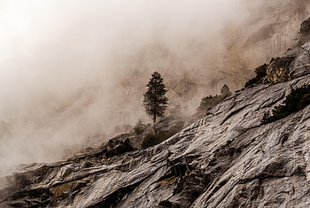 Nature, Stones, Rocks, Wood, Tree, Fog, Stone HD wallpaper